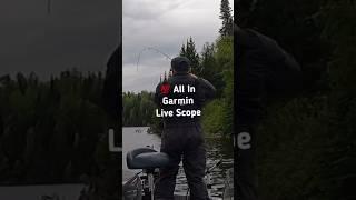 Garmin Live Scope for the WIN  fishing [upl. by Sewellyn177]