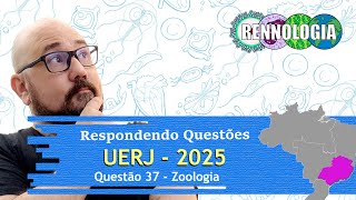 RESOLVENDO QUESTÕES  REGIÃO SUDESTE  UERJ 2025  Questão 37 [upl. by Sivart338]