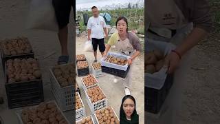 BUAH KIWINYA KOK DI BUANG fruit food satisfying viralvideo dubbing funny shortvideo [upl. by Emmeline]