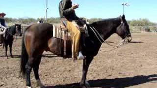 Buck Brannaman Clinic Best Ride Hes Seen [upl. by Dnalon]