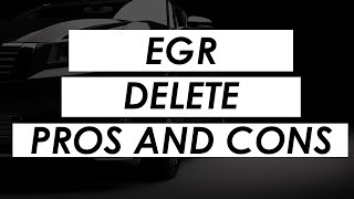 Pros and Cons of EGR Deletion [upl. by Prouty]