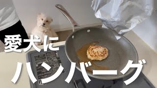 愛犬に手作りハンバーグ。ソースも作ったよ。テリア [upl. by Verdi]