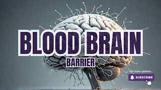 What is bloodbrain barrier [upl. by Nanreik719]