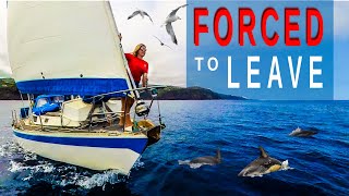 FORCED to LEAVE  Seeking Safe Harbour  Sailing Florence Ep167 [upl. by Lenci]