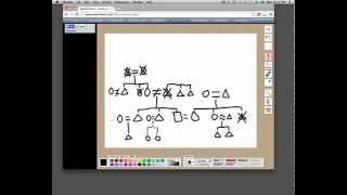 How To Draw a Kinship Diagram [upl. by Notgnirrab]