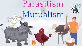 What is Parasitism and Mutualism  Difference Between Parasitism and Mutualism  Biology [upl. by Ellene]