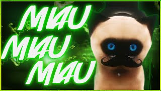 WhatTheHell amp Gronkh – MIAU MIAU MIAU [upl. by Florida943]