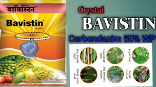 Crystal వారి BAVISTIN a systemic fungicide Carbendazim 50 WP best Fungicides for all crops [upl. by Rew]