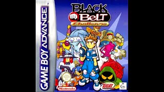 Game Boy Advance  Black Belt Challenge Title amp Stahlfeder Playthrough [upl. by Thgirw]