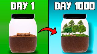 I Simulated a forest For 1000 Days In a Jar [upl. by Parry849]