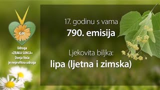 Velike tajne malog vrta quotLIPA Ljetna i Zimskaquot 13062023 [upl. by Ediva65]