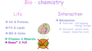 An Introduction to Biochemistry [upl. by Adelle208]