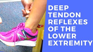 Deep Tendon Reflexes of the Lower Extremities [upl. by Abby811]