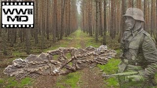 WWII Metal Detecting  German Waffen SS  Traces of War on the Eastern Front [upl. by Arte915]