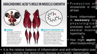 PUFAs Basics of Arachidonic Acid and its Metabolism [upl. by Kcaz535]