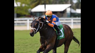 Gulfstream Park Resumen  14 de Marzo 2024 [upl. by Magdalene]