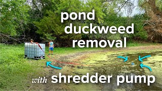 Pond duckweed removal with shredder pump [upl. by Bernardina]