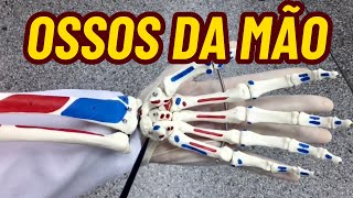 OSSOS DA MÃO [upl. by Gyatt]