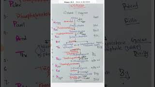 Most Easiest way to learn glycolysis with MNEMONICS 🔥✨️neet study motivation medicalentrancexam [upl. by Hepsibah145]