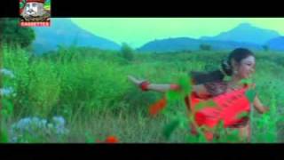 Pabana re Pabana Oriya track Babu I Love U [upl. by Ayekan]