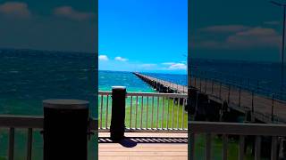 Streaky Bay Jetty South Australia 🇦🇺 southaustralia australia travel explore shorts [upl. by Ozne]