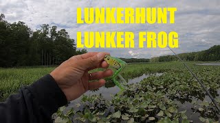 Frog Fishing With A Spinning Rod amp Reel [upl. by Labotsirc]