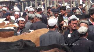 Kashgar Sunday Livestock Market [upl. by Hcirdla152]