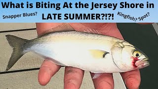 Fishing in Brigantine New Jersey for Anything that Will Bite in Late Summer [upl. by Yhtnomit423]