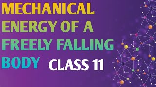 Class 11 Mechanical energy of a freely falling body  JEE  NEET  CBSE  HPBOSE  BOARD EXAM [upl. by Annawak76]