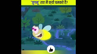 Why Do Fireflies Glow 🌟  जुगनू क्यों चमकते हैं Fireflies  facts factsinhindi shortsfeed [upl. by Muriel]