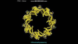 7PEO  Helical symmetry [upl. by Peace]