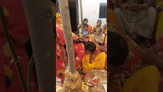 Kishor wedding part3dear desi vlog [upl. by Nosro48]