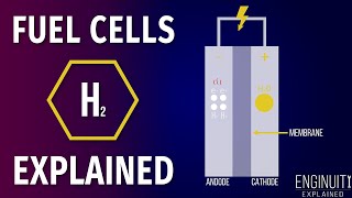 Hydrogen Fuel Cell How It Works [upl. by Alf]