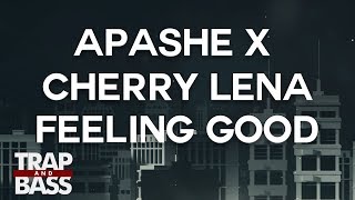 Apashe x Cherry Lena  Feeling Good [upl. by Rochelle]