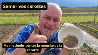 Comment semer les carottes et lutter contre la mouche des carottes [upl. by Shabbir]