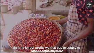 Trading Oil Palm Fruit with Simon Udochukwu [upl. by Apilef]