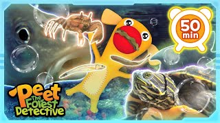 Underwater Wonders Aquatic Life Explored  Peet The Forest Detective [upl. by Aniratac]