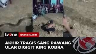 Pawang Ular Tewas Digigit King Kobra Peliharaannya  Kabar Hari Ini tvOne [upl. by Ralina519]