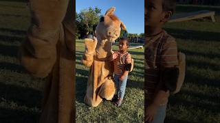 Bucky the Broncos Steal the Show at School Family Picnic avuvofcl shorts viral trend bucky [upl. by Aniras257]