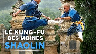 Les Techniques de Kung Fu des Moines Shaolin  Reportage COMPLET Arts Martiaux [upl. by Ahsekal]