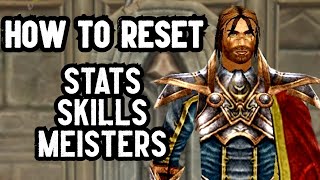 How to Reset StatsSkillsMeisters  Dekaron [upl. by Pergrim]