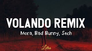 Volando Remix  Mora Bad Bunny Sech Letra [upl. by Juli138]