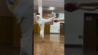 Circular 🤯🤯 kick taekwondo mma [upl. by Hagerman424]