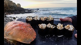 Catch and Sushi Series Ep 4 Dungeness crab [upl. by Mcnamee110]