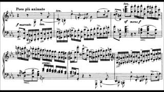 Franz Liszt Grandes études de Paganini S141 No 2 [upl. by Acinod]