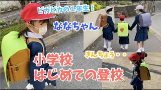 1年生ななちゃん初めての登校♫車に気をつけて学校まで歩けました♫ランドセルは重かった♫ [upl. by Eybbob79]