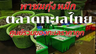 กุ้งสด หมึกสดตลาดทะเลไทย EP 777 [upl. by Hanson914]