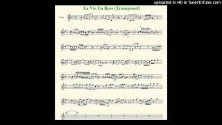 La Vie En Rose  Violin Cover  Sheet Music In Description [upl. by Salim37]