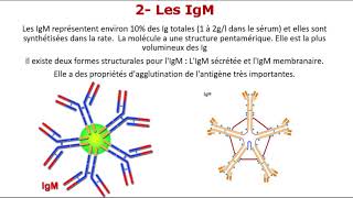 Limmunité spécifique  Les immunoglobulines et leurs fonctions بالدارجة [upl. by Immanuel]