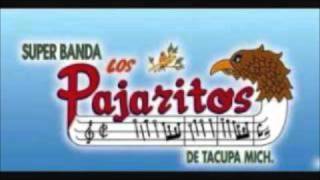 LOS PAJARITOS DE TACUPA EN VIVO DESDE ARROYO GRANDE GURRERO [upl. by Odrareve7]